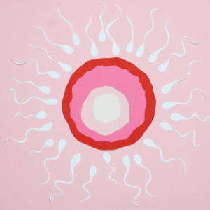 IVF Subscription